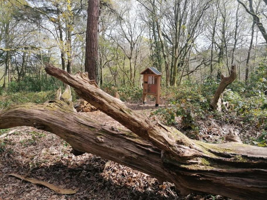 Pebble Cottage Uny Lelant المظهر الخارجي الصورة